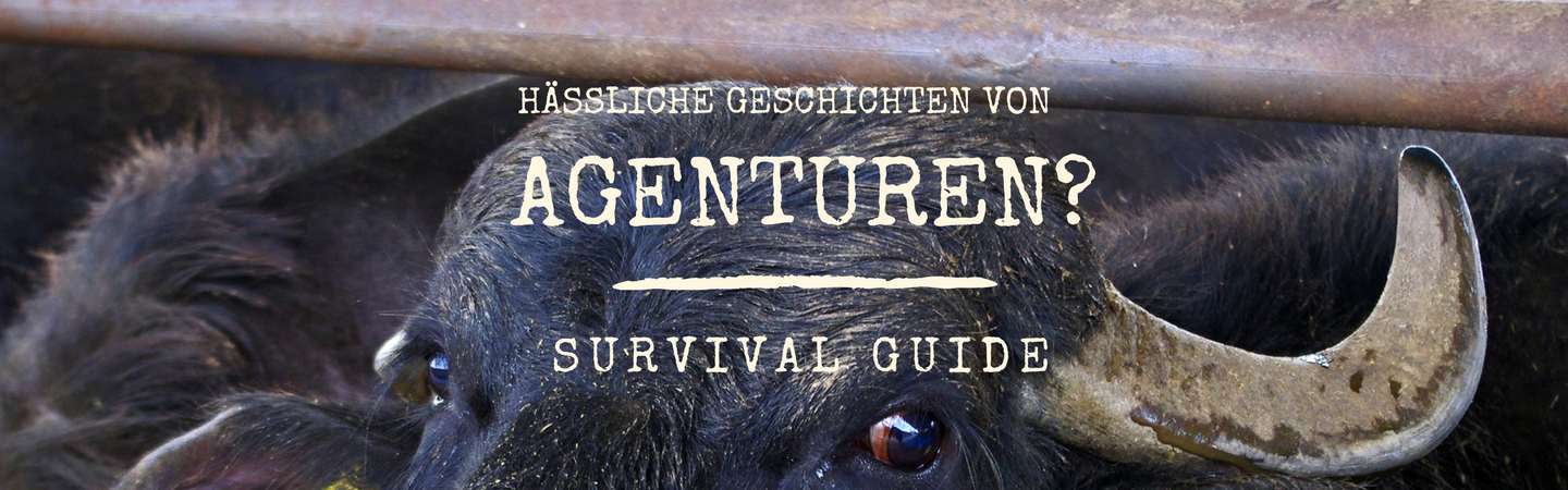 Wahre, hässliche Geschichten von Web-Agenturen