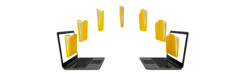 Dropbox oder Google Drive für das gemeinsame Excel-Sheet?