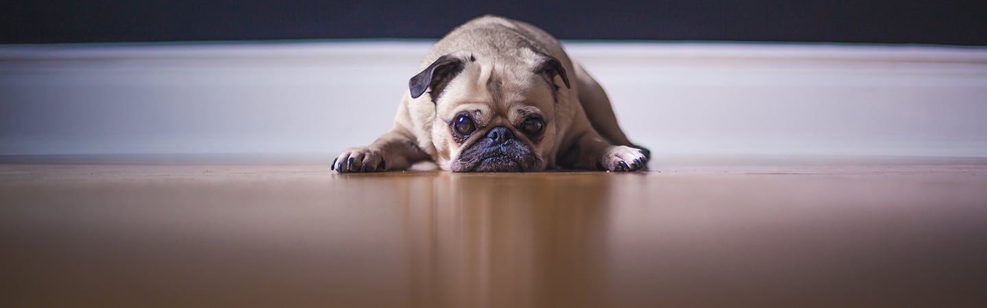 Lazy Load – brauche ich das?