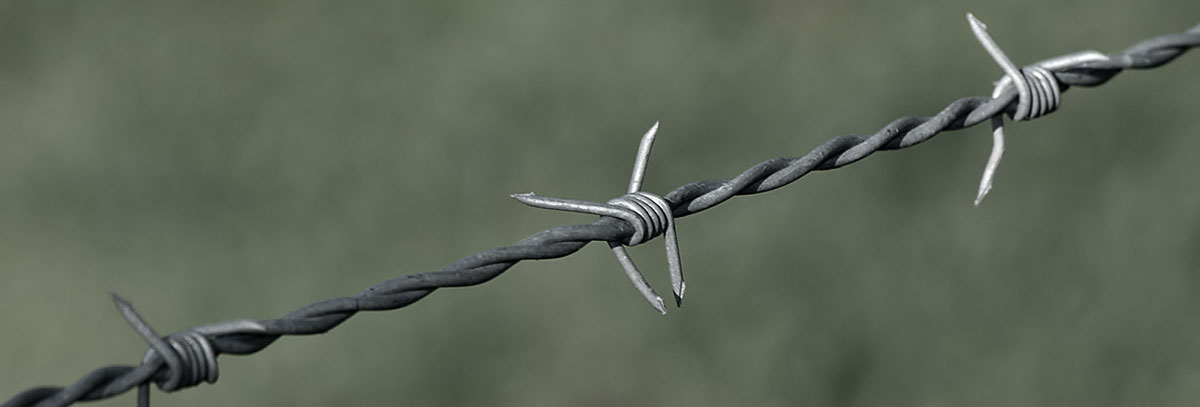 Wie sicher ist WordPress?