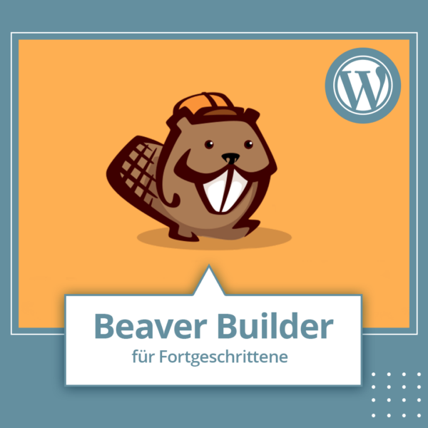 Beaver Builder Aufbau